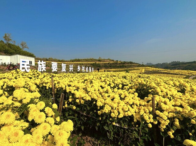 微信图片_2025-08-01_172910_617.jpg设为缩略图