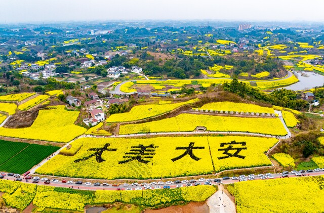 6302c67a5ef85c34f02cb74ee76ec7e9.jpg设为缩略图设为缩略图