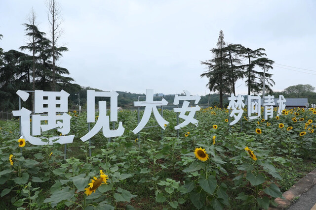 设为缩略图设为缩略图
