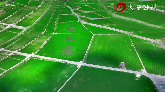 大安区国家现代农业产业园 (1).png