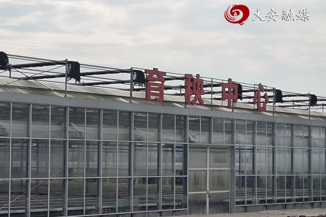 牛佛镇红旗村育秧工厂 (1).jpg