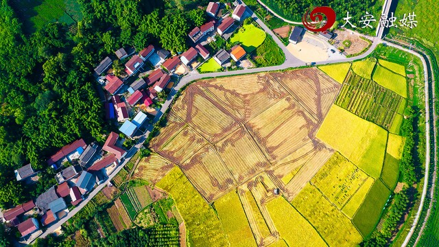 大安区国家现代农业产业园 (5)(1).jpg