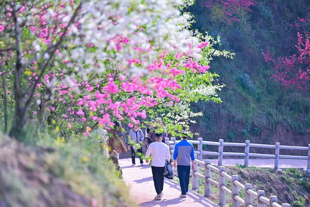 7d7b260a1a5765467e528f199c175c67.jpg设为缩略图设为缩略图